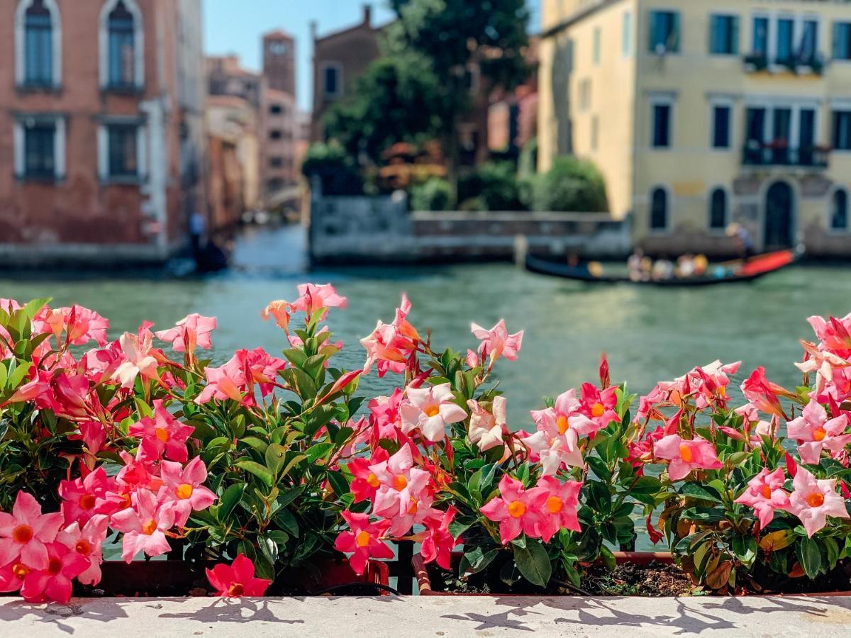 Ca' Dei Cuori On The Grand Canal 威尼斯 外观 照片
